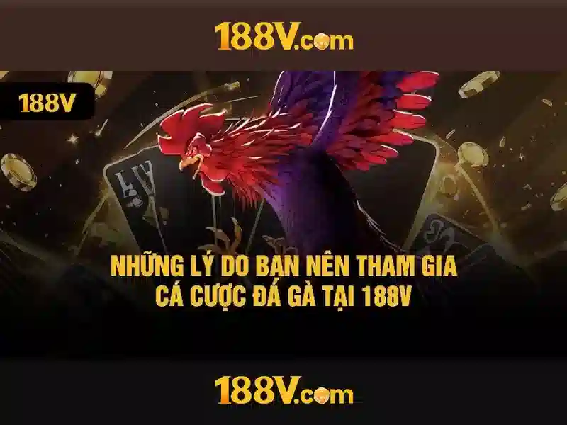 cá cược - 188V cá cược - 188V