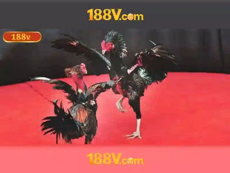 tài khoản Slot - 188V tài khoản Slot - 188V