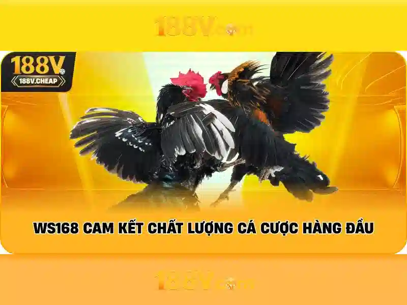 đổi thưởng Slot - 188V đổi thưởng Slot - 188V