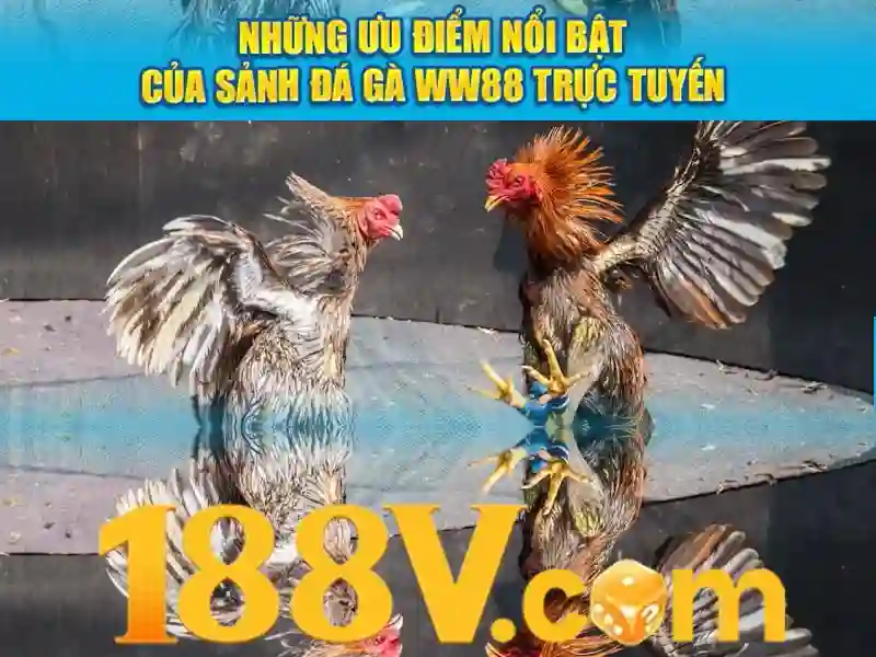 💎trực tiếp kéo nhà cái💎 💎trực tiếp kéo nhà cái💎